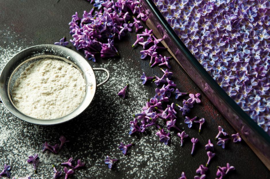 Fleurs comestibles violettes entourant un tamis avec de la farine sur une surface sombre.