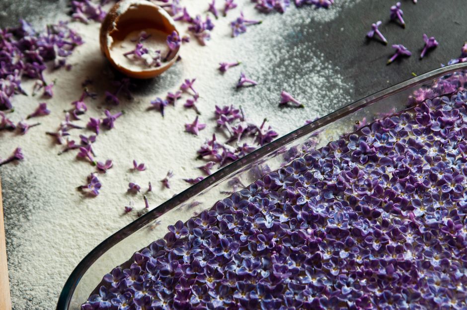 Plateau de fleurs violettes comestibles sur un fond de sucre en poudre, idéal pour la pâtisserie.